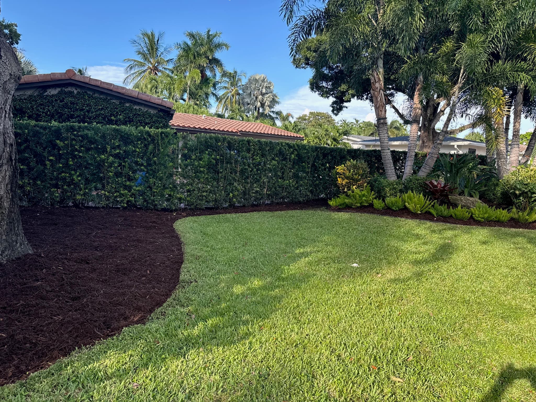 Tropical Fort Lauderdale landscape design