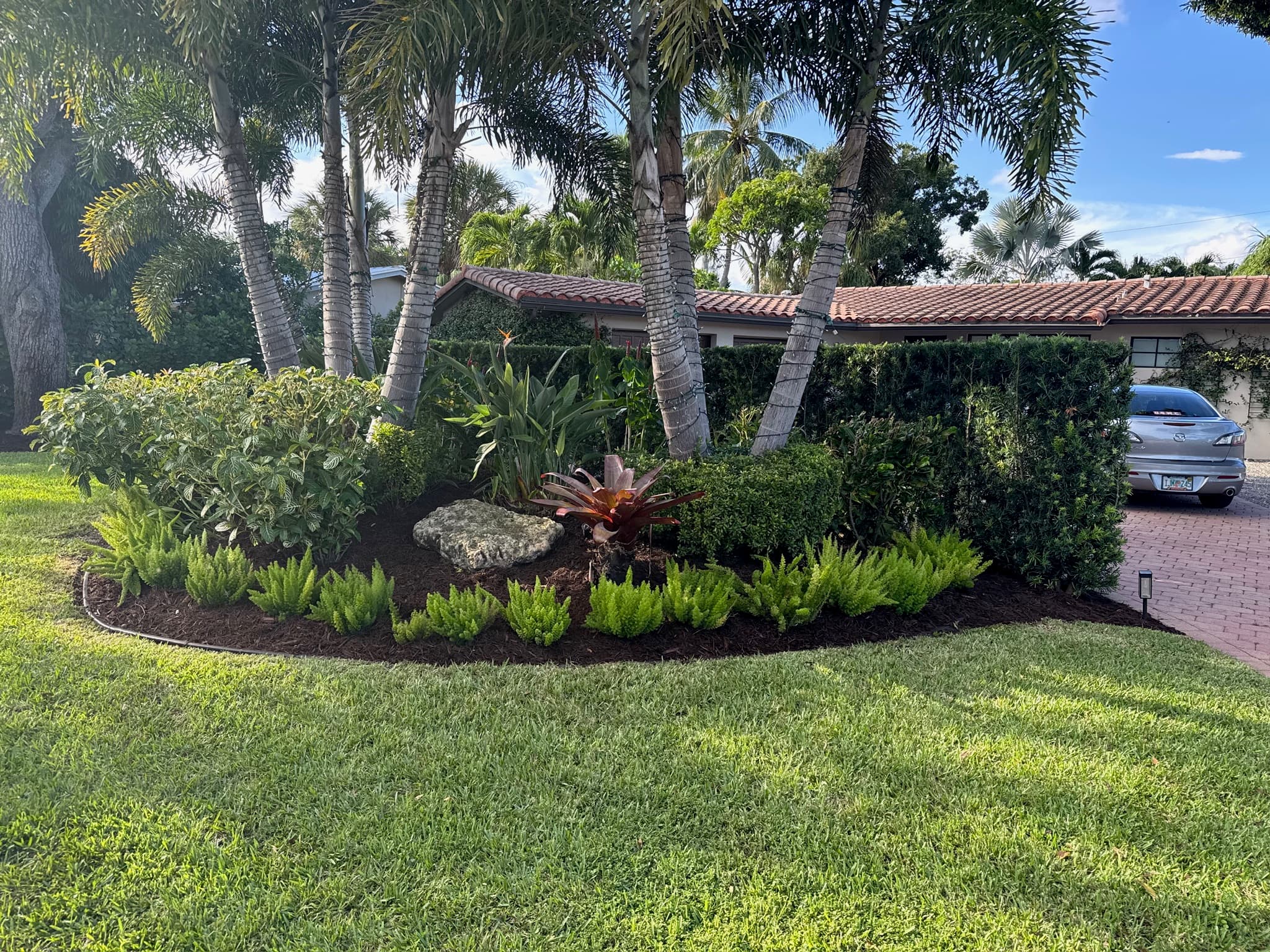 Tropical Modern Entry